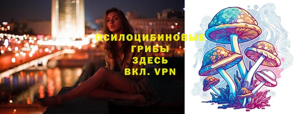 хмурый Верхний Тагил