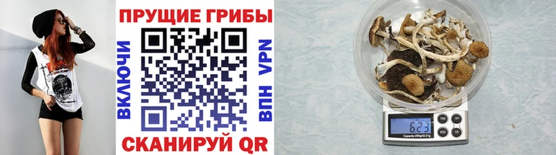 Галлюциногенные грибы Magic Shrooms  Купить  Старый Крым 